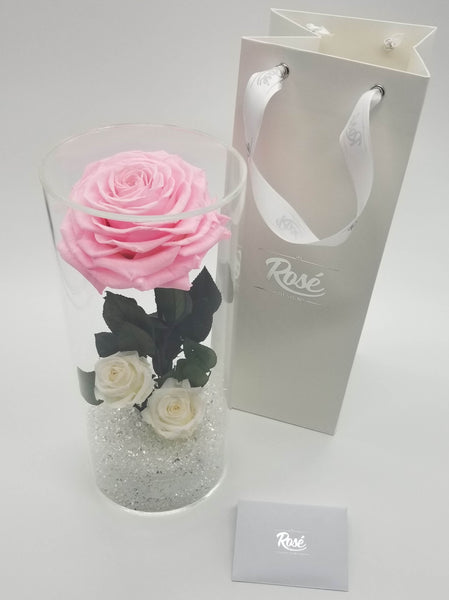 Enchanted Pink Giant Rose in Clear acrylic case