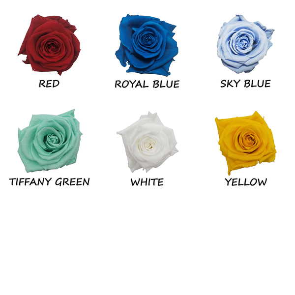 Ecuadorian Forever Rose Colour Chart