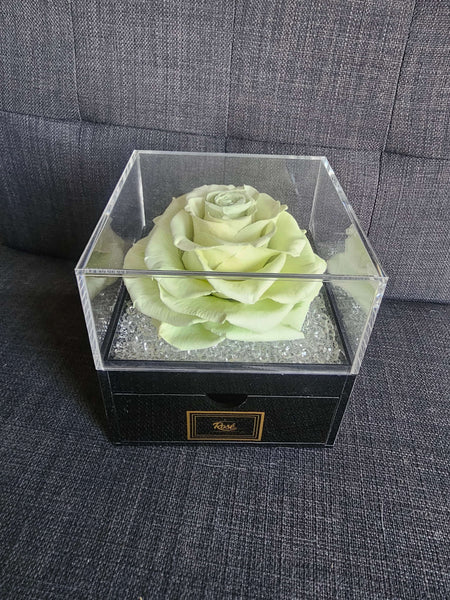 Giant Rose Black Reflection Gift Set