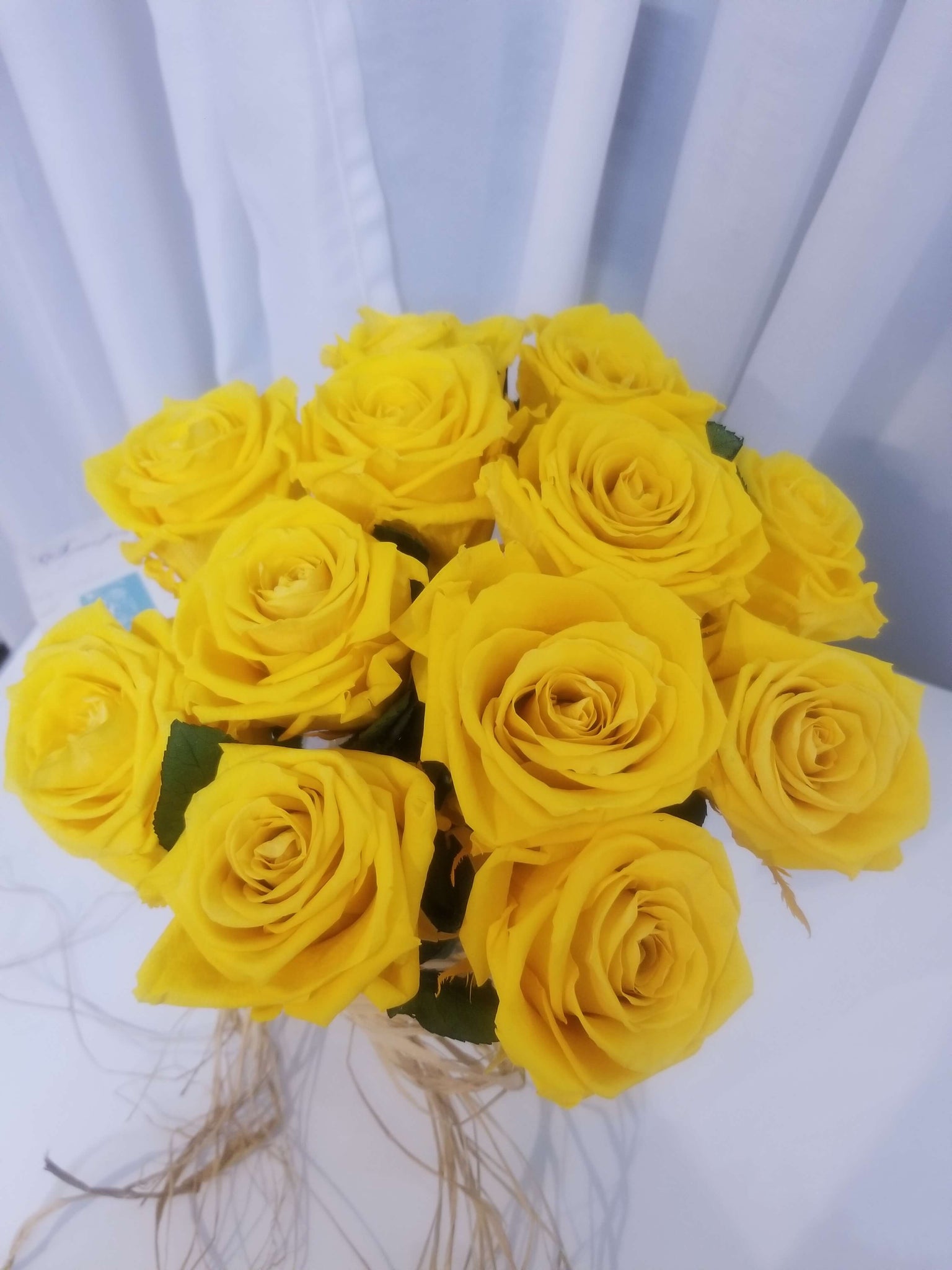 Rosé Designs 1 Dozen Short Stem Yellow Roses in Clear Vase