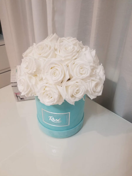 Rosé Designs Blue Velvet Bouquet with White Roses