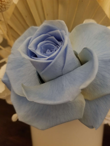 Blue Preserved Rose Bloomed