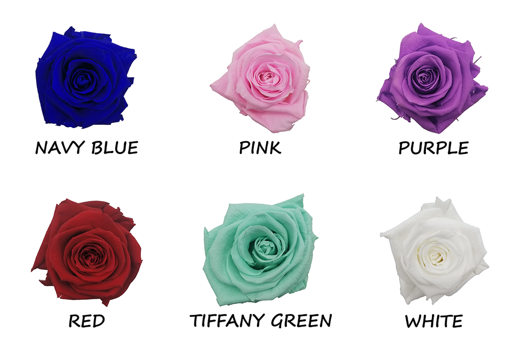 1 Dozen Rose Bouquet  Forever Rose Deluxe Gift Calgary Canada – Rosé  Designs YYC