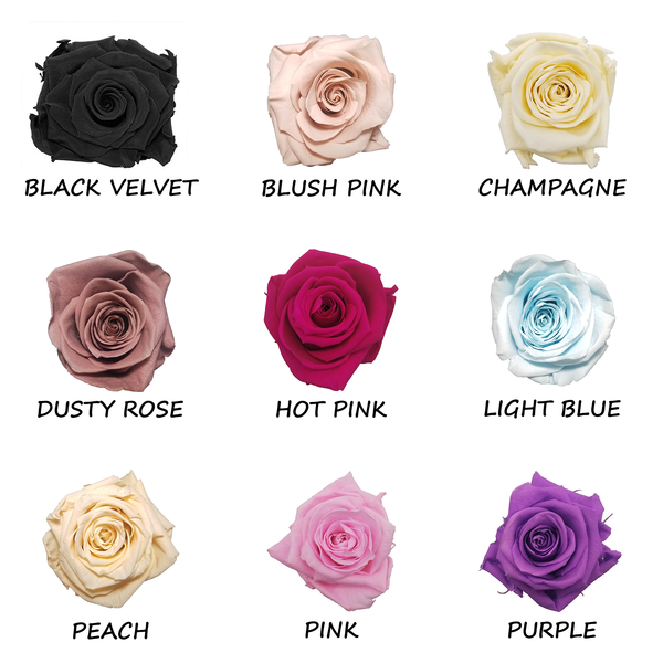 Preserved Rose Colour Chart