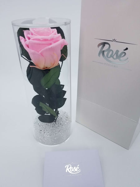Enchanted Pink Rose in clear acrylic case