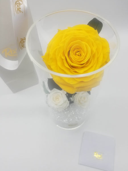 Enchanted Yellow Giant Rose in clear acrylic case