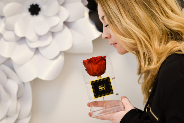 Girl smelling Single Red Rose in Clear Box