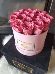 Pink Forever Roses in Pink Velvet box