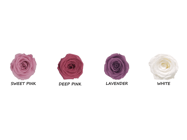Rosé Designs Small Pink Rose Chart