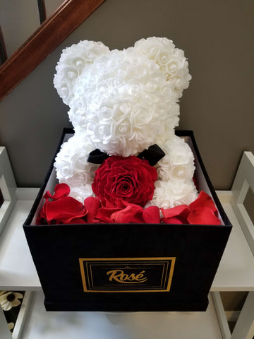 White Rose Bear with Giant Red Rose and petals in black velvet box